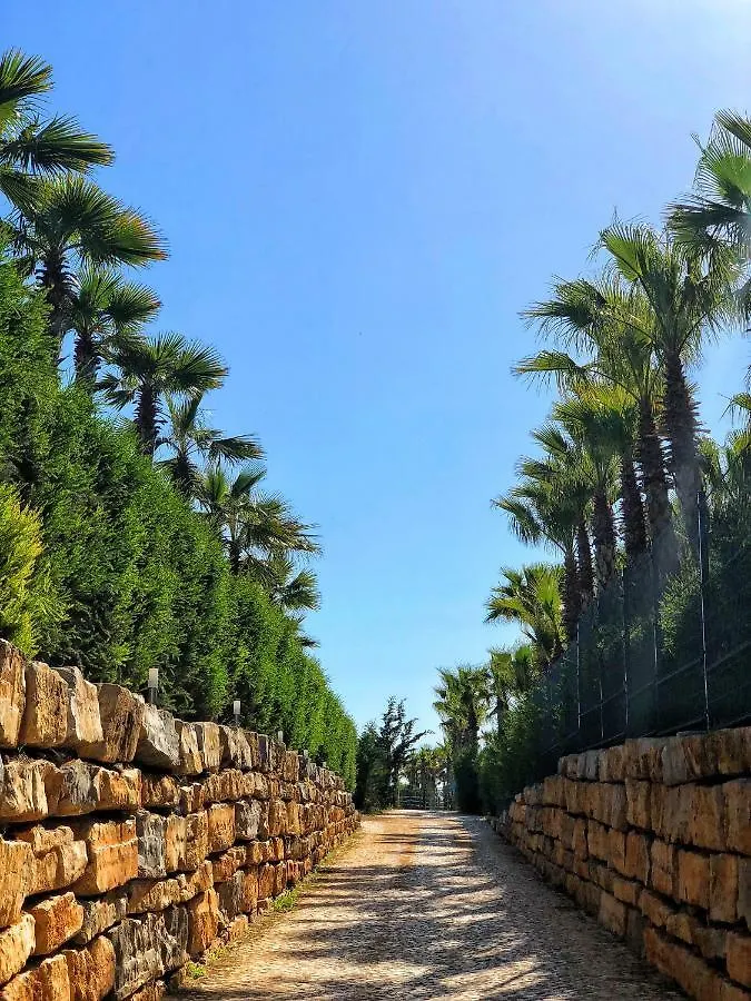 אלבופיירה Herdade Dos Salgados Beach Apartment